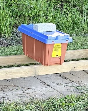 5 Frame NUC Colony